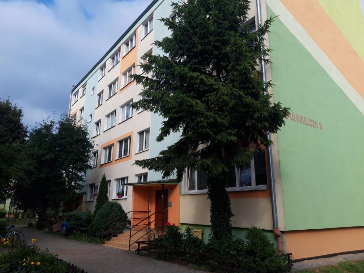 Aleksander Apartment