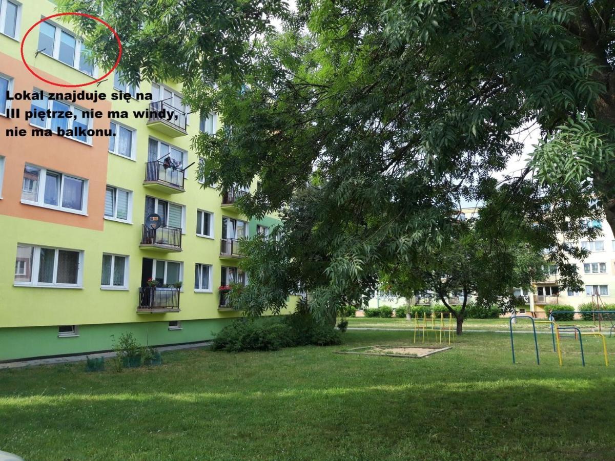 Aleksander *