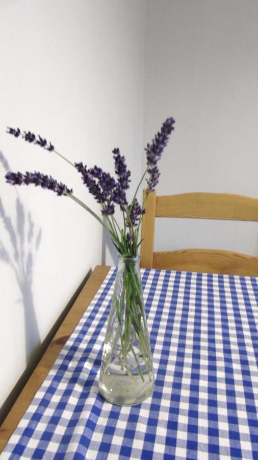 Aleksander Apartment